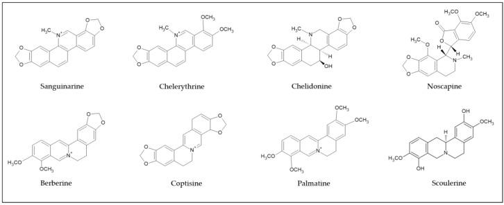 https://cdn.ncbi.nlm.nih.gov/pmc/blobs/9072/7915290/a167408524ce/ijms-22-01653-g002.jpg
