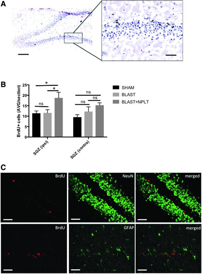 https://cdn.ncbi.nlm.nih.gov/pmc/blobs/9074/5998828/b3ca7a478c6a/fig-7.jpg
