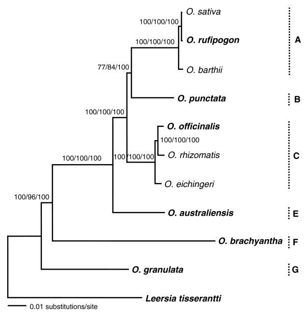 https://cdn.ncbi.nlm.nih.gov/pmc/blobs/9076/2397501/65f0f63049cc/gb-2008-9-3-r49-2.jpg