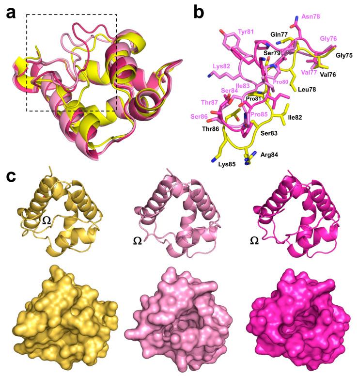 https://cdn.ncbi.nlm.nih.gov/pmc/blobs/9076/7825401/43faf37053db/molecules-26-00256-g003.jpg