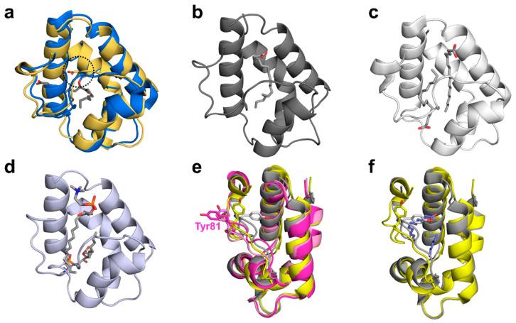 https://cdn.ncbi.nlm.nih.gov/pmc/blobs/9076/7825401/500b825eaa2b/molecules-26-00256-g005.jpg