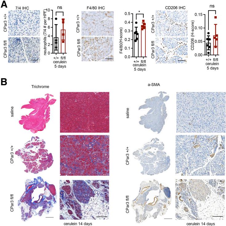 https://cdn.ncbi.nlm.nih.gov/pmc/blobs/9078/11437875/bba7e283e1ba/gr5.jpg