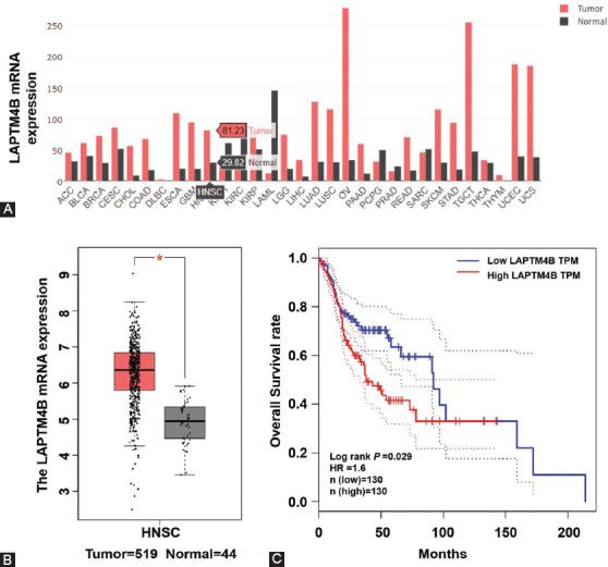 https://cdn.ncbi.nlm.nih.gov/pmc/blobs/9079/8112566/9c0decbe8e4c/BJBMS-21-305-g001.jpg