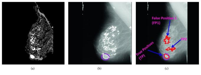 https://cdn.ncbi.nlm.nih.gov/pmc/blobs/907b/6178513/d5672c8d87eb/JHE2018-5940436.004.jpg