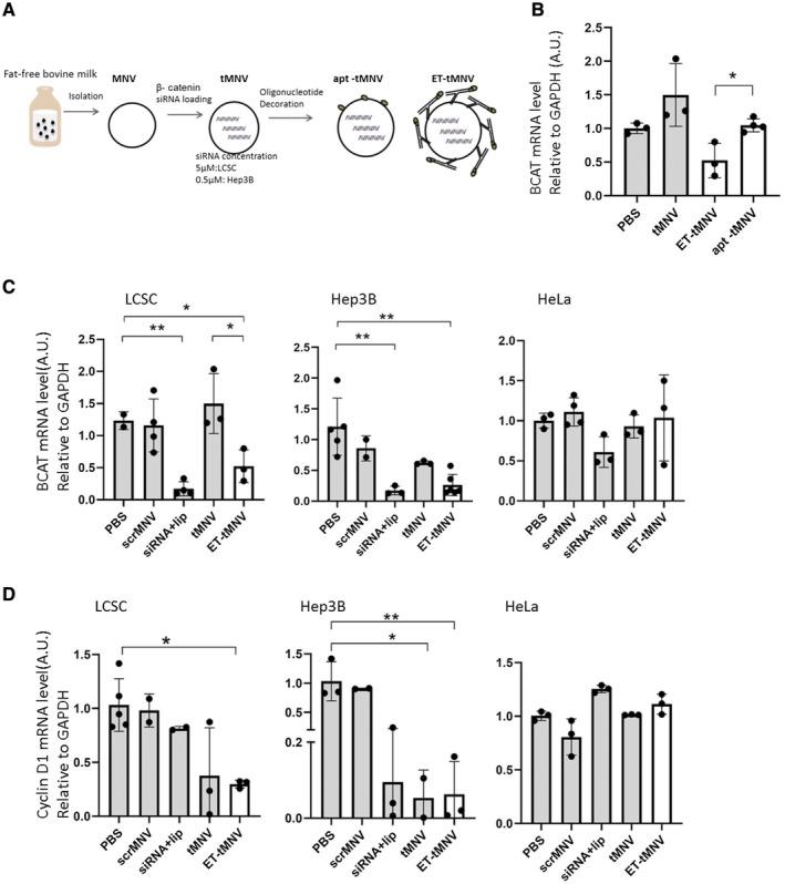 https://cdn.ncbi.nlm.nih.gov/pmc/blobs/907b/6996342/29c09d8b8cc3/HEP4-4-298-g005.jpg
