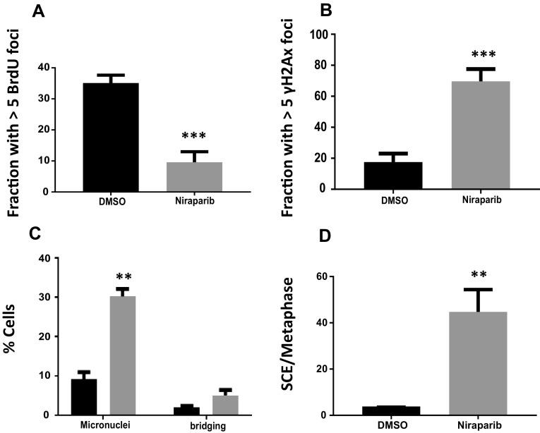 https://cdn.ncbi.nlm.nih.gov/pmc/blobs/907e/5608777/2b8cbd5ad34f/280_2017_3401_Fig2_HTML.jpg