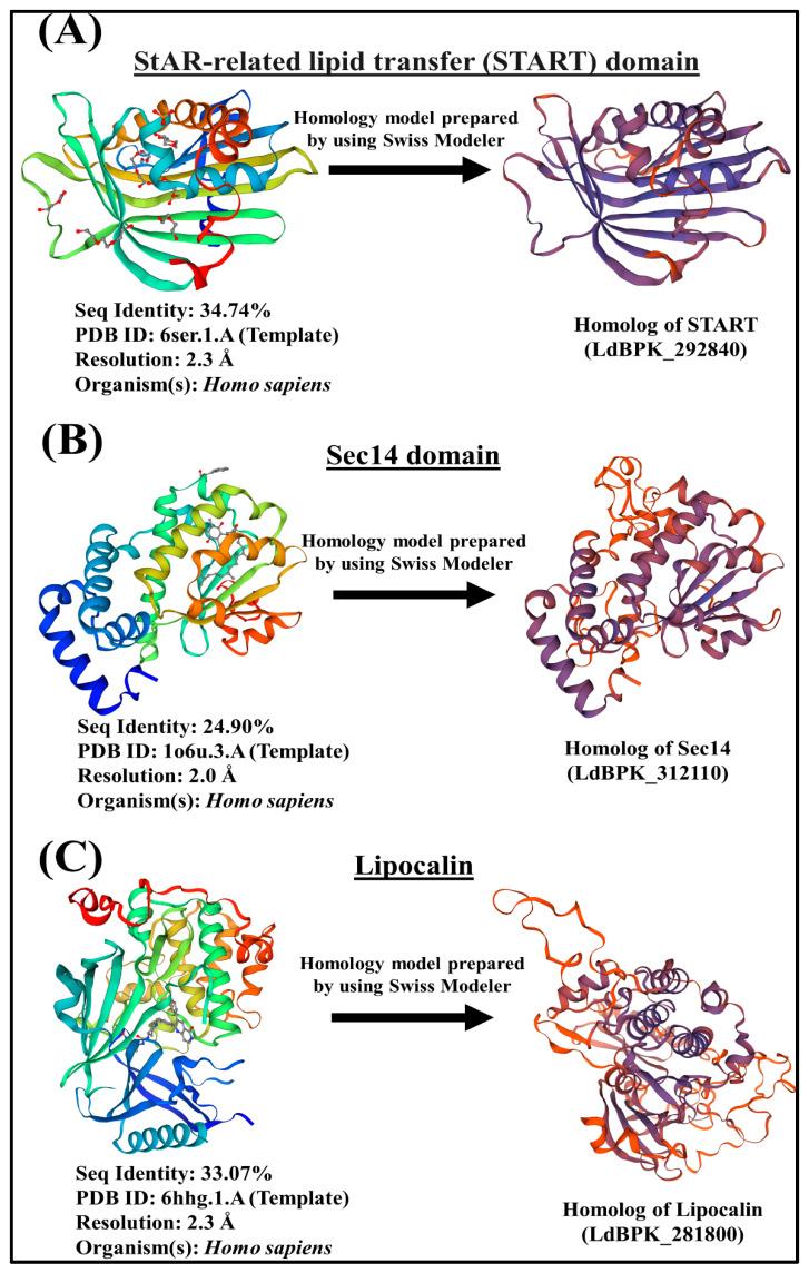 https://cdn.ncbi.nlm.nih.gov/pmc/blobs/9080/10341546/0e262c2ba827/ijms-24-10637-g003.jpg