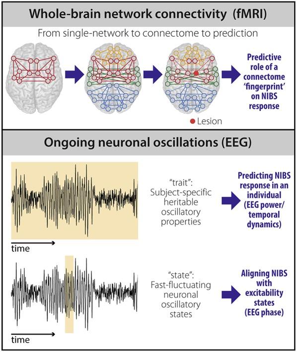 https://cdn.ncbi.nlm.nih.gov/pmc/blobs/9080/6454031/cfb715ef3321/fneur-10-00302-g0001.jpg