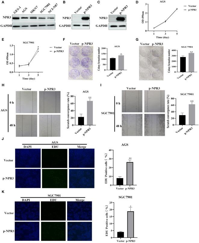 https://cdn.ncbi.nlm.nih.gov/pmc/blobs/9083/11131102/95d4f5f9b79d/fimmu-15-1377472-g009.jpg