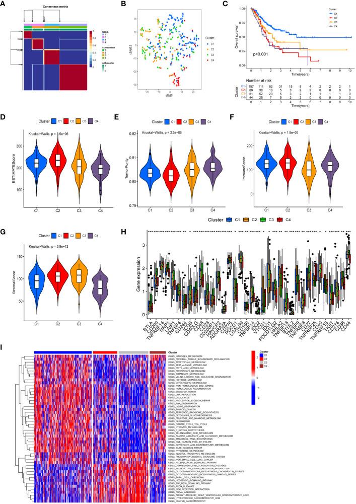 https://cdn.ncbi.nlm.nih.gov/pmc/blobs/9083/11131102/effd74bf5beb/fimmu-15-1377472-g003.jpg