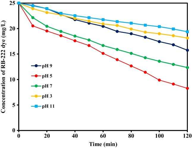 https://cdn.ncbi.nlm.nih.gov/pmc/blobs/9085/11289345/913df5e9ea51/11356_2024_32728_Fig2_HTML.jpg