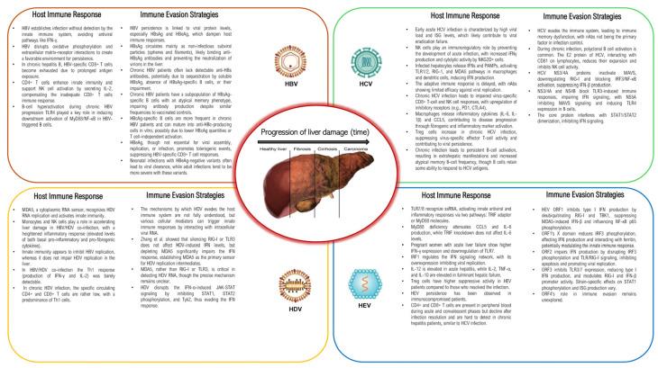 https://cdn.ncbi.nlm.nih.gov/pmc/blobs/9085/11435051/244c90ba7d51/pathogens-13-00766-g001.jpg