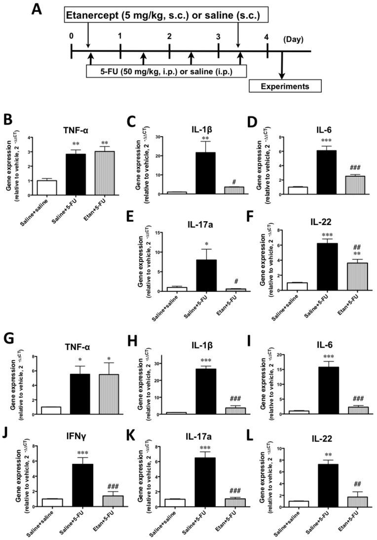 https://cdn.ncbi.nlm.nih.gov/pmc/blobs/9085/3559799/1790bf9ac9fd/pone.0054788.g003.jpg
