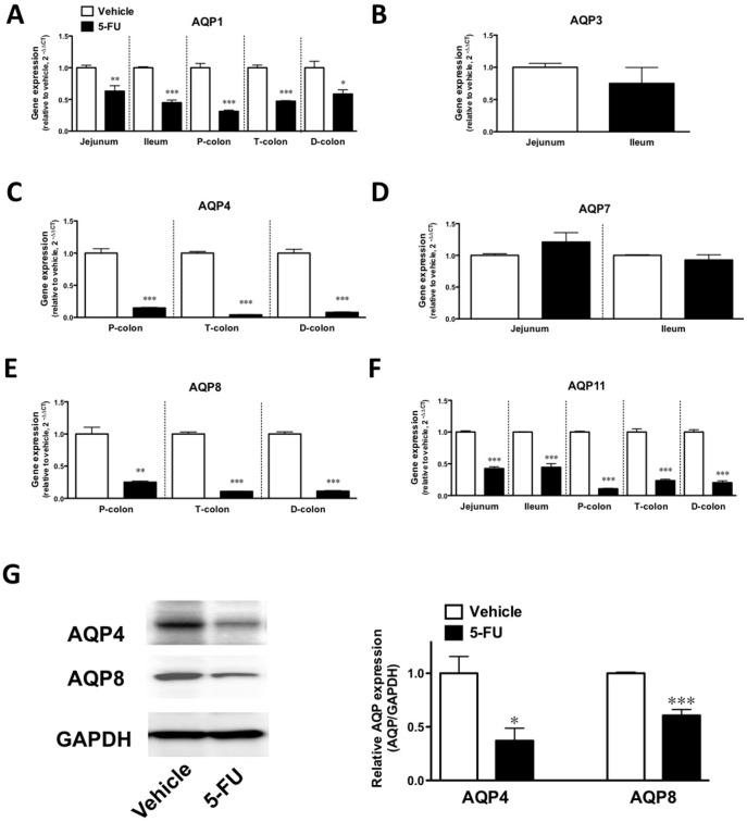 https://cdn.ncbi.nlm.nih.gov/pmc/blobs/9085/3559799/36989ff2ba5f/pone.0054788.g006.jpg