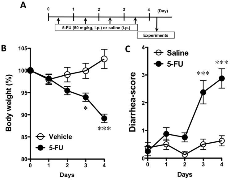 https://cdn.ncbi.nlm.nih.gov/pmc/blobs/9085/3559799/7208f26e571e/pone.0054788.g001.jpg