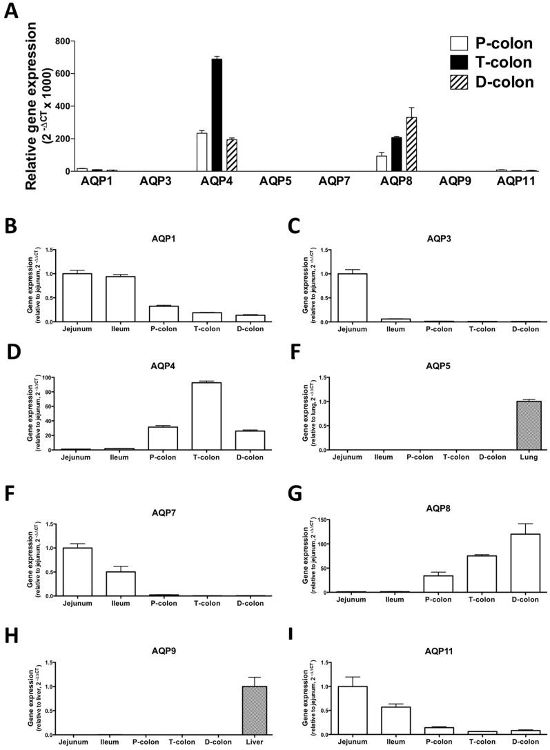 https://cdn.ncbi.nlm.nih.gov/pmc/blobs/9085/3559799/bb0c8283ba93/pone.0054788.g005.jpg