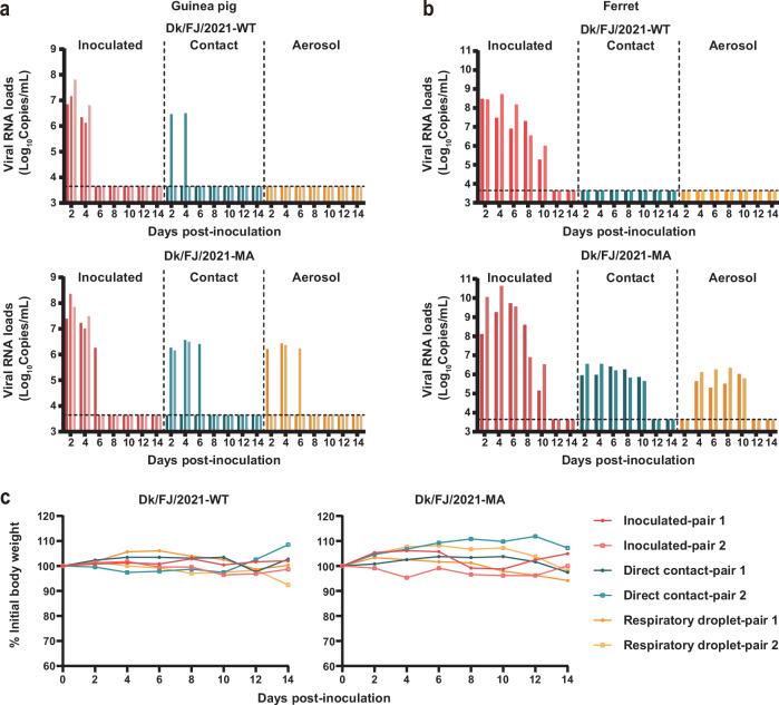 https://cdn.ncbi.nlm.nih.gov/pmc/blobs/9086/11576999/8cf028d4973a/41467_2024_54374_Fig7_HTML.jpg