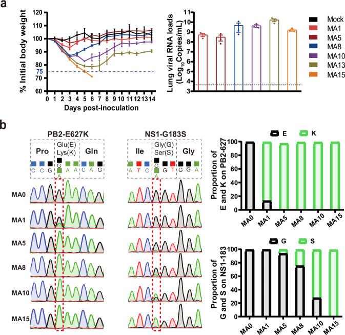 https://cdn.ncbi.nlm.nih.gov/pmc/blobs/9086/11576999/94376a89d961/41467_2024_54374_Fig5_HTML.jpg