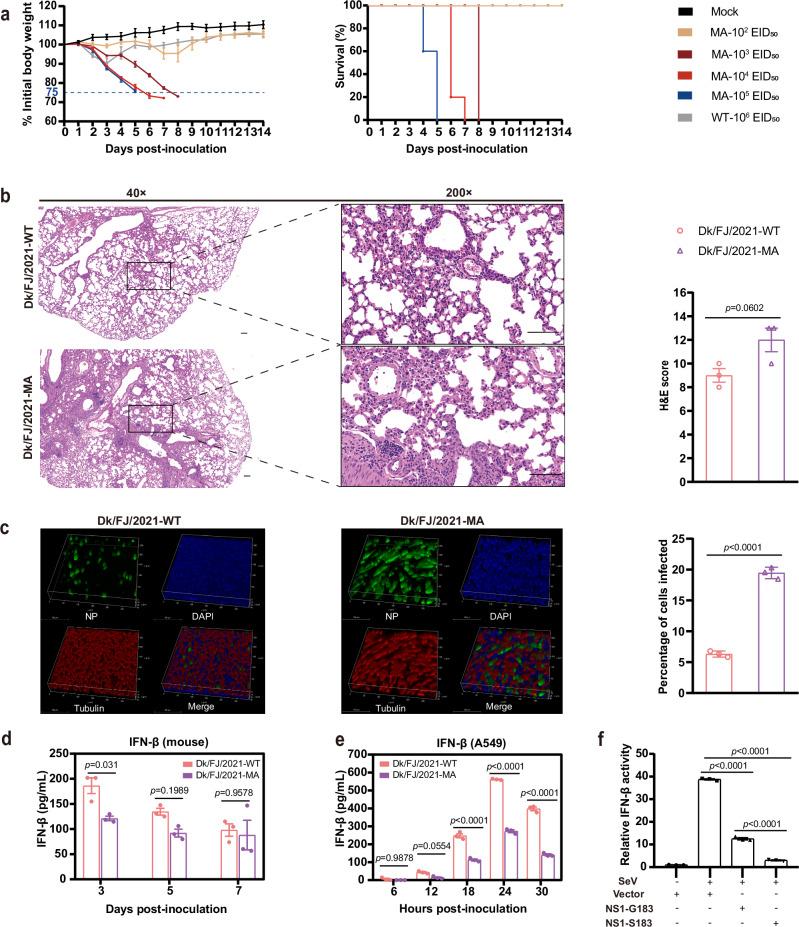 https://cdn.ncbi.nlm.nih.gov/pmc/blobs/9086/11576999/bf362ddd2942/41467_2024_54374_Fig6_HTML.jpg