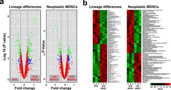 https://cdn.ncbi.nlm.nih.gov/pmc/blobs/9086/4694980/27b294469578/oncotarget-06-27160-g001.jpg