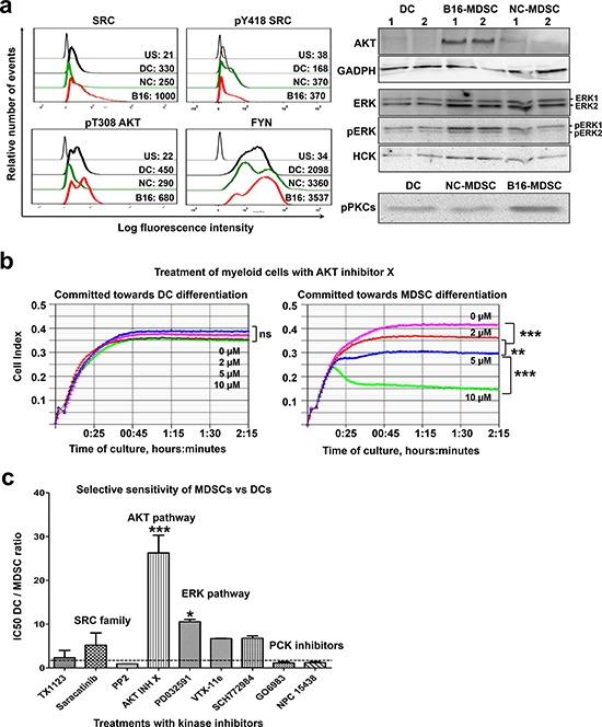 https://cdn.ncbi.nlm.nih.gov/pmc/blobs/9086/4694980/ba22ac8b7e87/oncotarget-06-27160-g008.jpg
