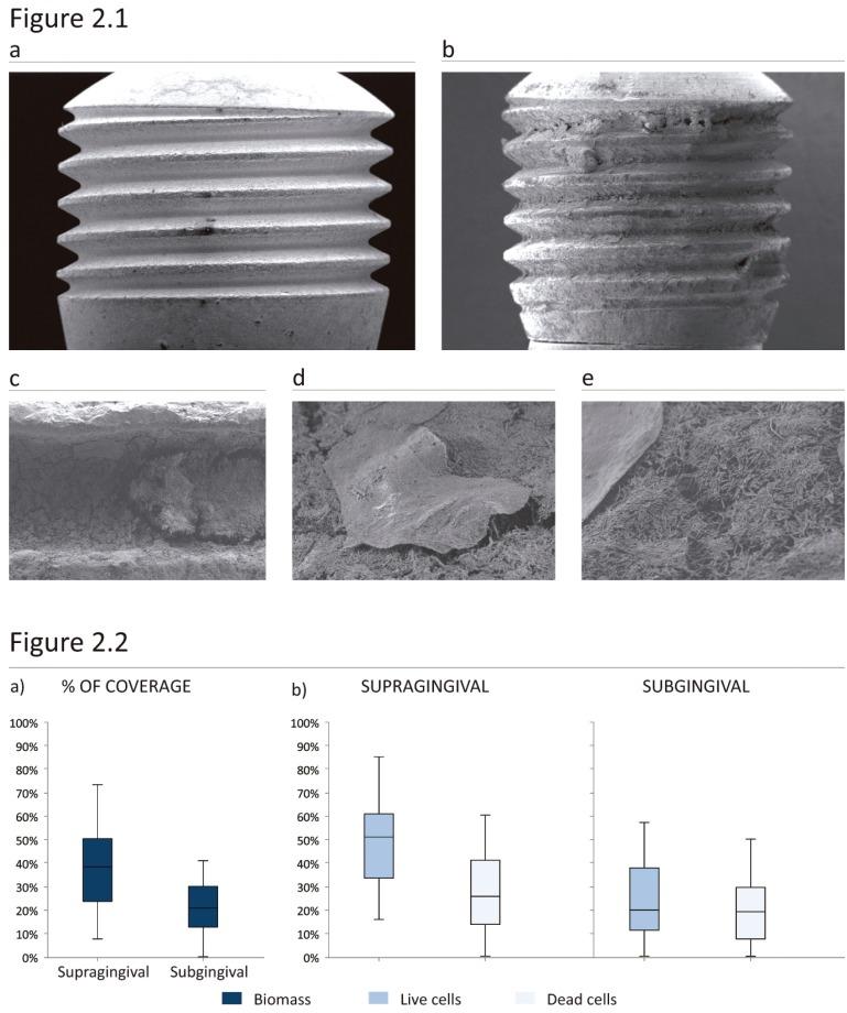 https://cdn.ncbi.nlm.nih.gov/pmc/blobs/9088/6667012/8ac39e5a067b/medoral-24-e511-g002.jpg