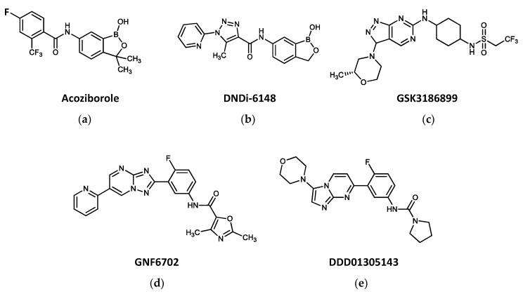 https://cdn.ncbi.nlm.nih.gov/pmc/blobs/908a/10136037/142a1ebeace4/biomolecules-13-00637-g004.jpg