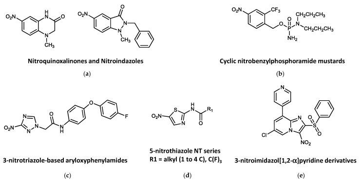 https://cdn.ncbi.nlm.nih.gov/pmc/blobs/908a/10136037/2610dc143d3c/biomolecules-13-00637-g007.jpg