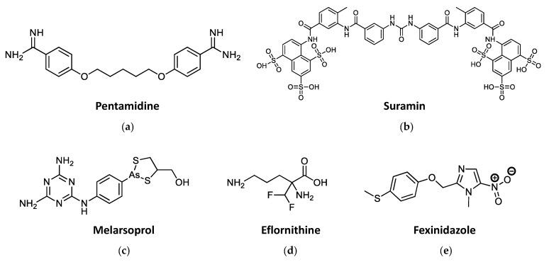 https://cdn.ncbi.nlm.nih.gov/pmc/blobs/908a/10136037/5d41dc4a2cb1/biomolecules-13-00637-g002.jpg