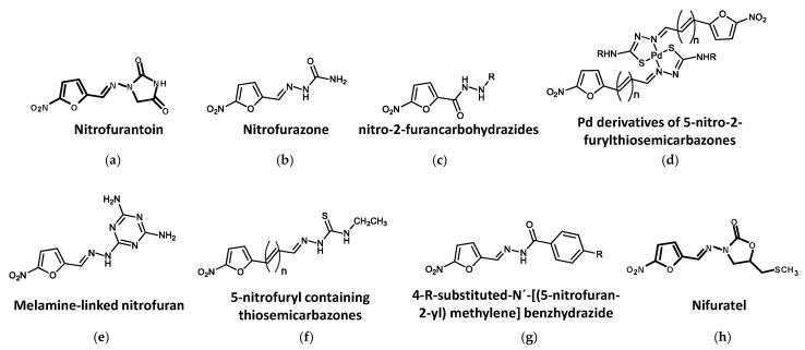 https://cdn.ncbi.nlm.nih.gov/pmc/blobs/908a/10136037/5d9f98ee18d5/biomolecules-13-00637-g006.jpg