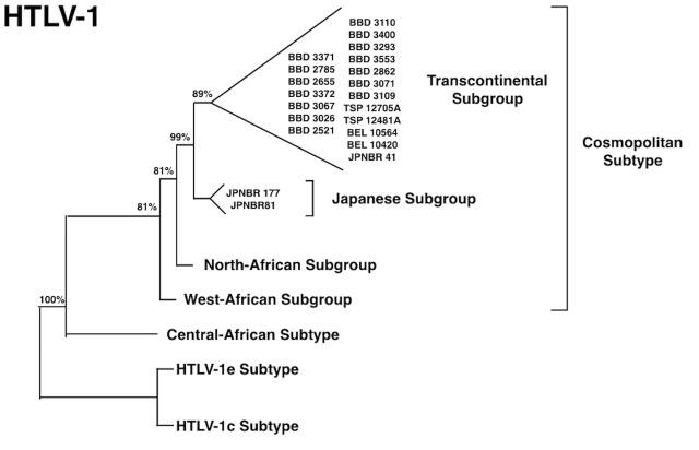 https://cdn.ncbi.nlm.nih.gov/pmc/blobs/908a/5583215/9fd1d614919b/fmicb-08-01663-g004.jpg