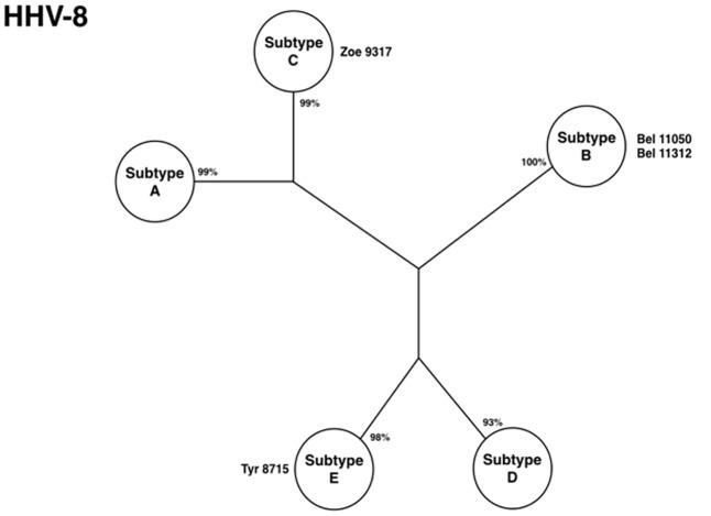 https://cdn.ncbi.nlm.nih.gov/pmc/blobs/908a/5583215/bbd61cb6e5ee/fmicb-08-01663-g007.jpg