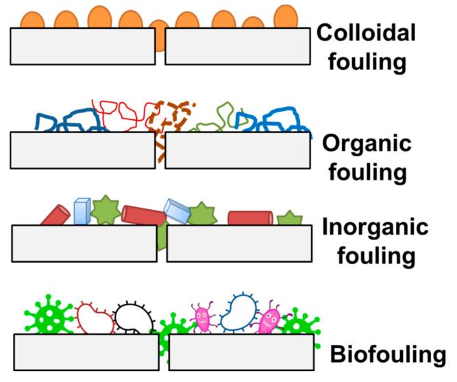 https://cdn.ncbi.nlm.nih.gov/pmc/blobs/908b/8002060/1e4f84c8535c/polymers-13-00846-g001.jpg