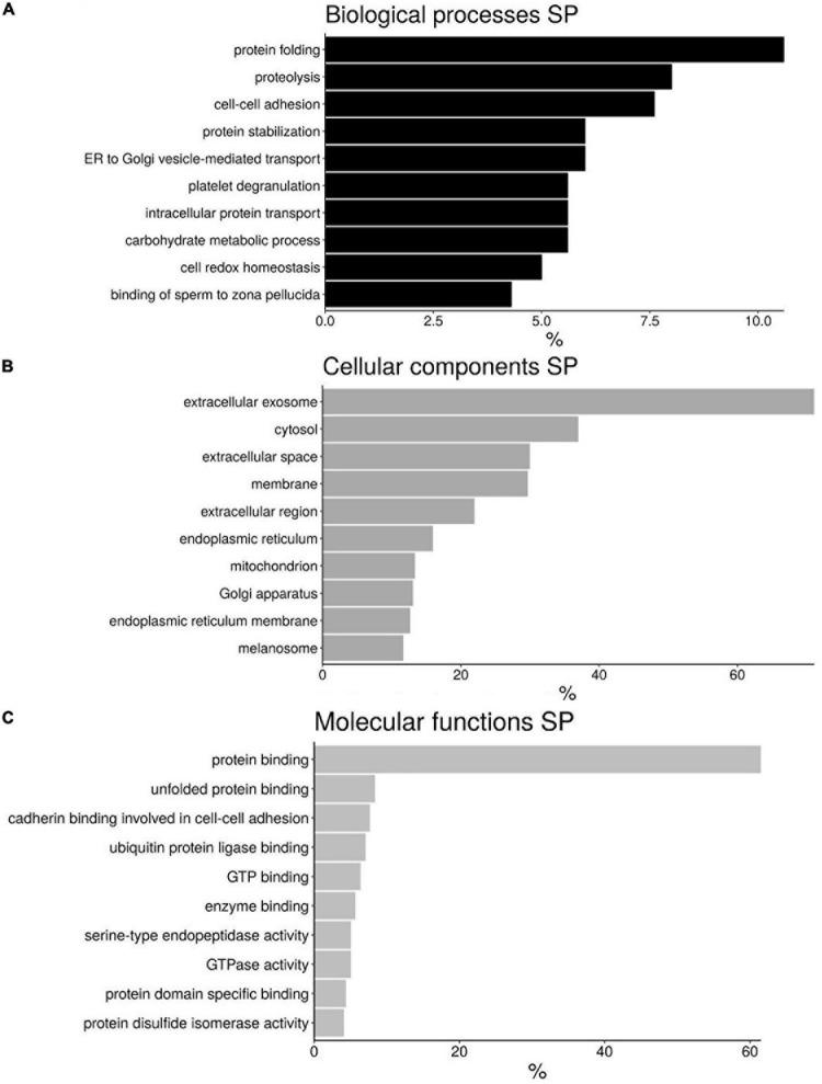 https://cdn.ncbi.nlm.nih.gov/pmc/blobs/9090/8323341/4bbb3d8ee928/fcell-09-673961-g004.jpg