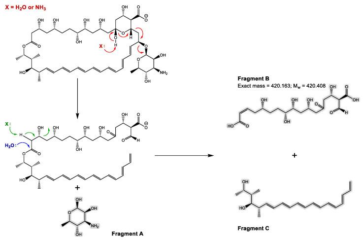 https://cdn.ncbi.nlm.nih.gov/pmc/blobs/9090/9774544/62550c975cc0/antibiotics-11-01841-g002.jpg