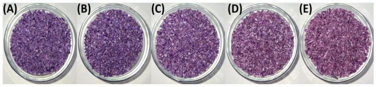 https://cdn.ncbi.nlm.nih.gov/pmc/blobs/9095/12030586/388c2c86f08b/polymers-17-01042-g003.jpg