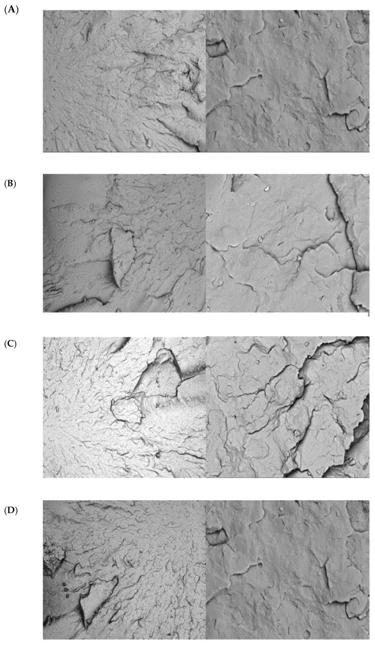 https://cdn.ncbi.nlm.nih.gov/pmc/blobs/9095/12030586/9890af227693/polymers-17-01042-g008.jpg