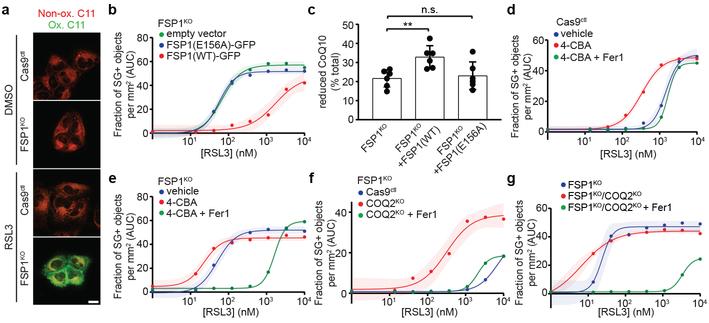 https://cdn.ncbi.nlm.nih.gov/pmc/blobs/9095/6883167/018118066623/nihms-1540825-f0003.jpg