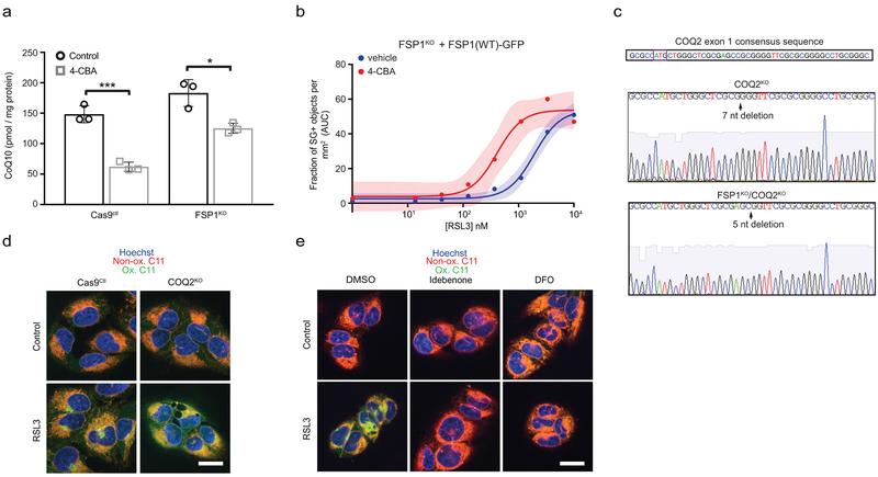 https://cdn.ncbi.nlm.nih.gov/pmc/blobs/9095/6883167/322d9cef2c35/nihms-1540825-f0012.jpg