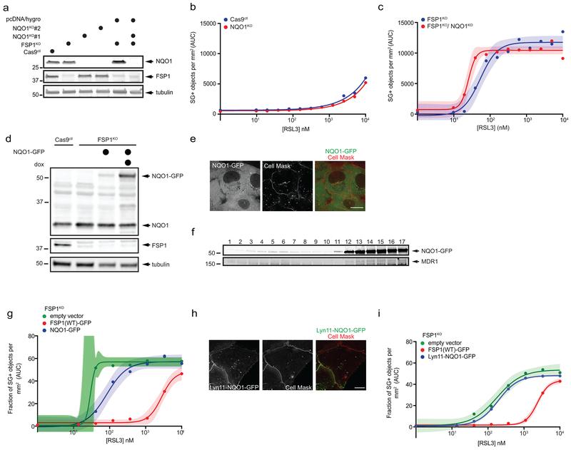 https://cdn.ncbi.nlm.nih.gov/pmc/blobs/9095/6883167/5eac44f2b274/nihms-1540825-f0013.jpg