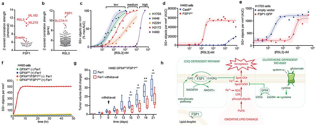 https://cdn.ncbi.nlm.nih.gov/pmc/blobs/9095/6883167/782d6da07d48/nihms-1540825-f0004.jpg