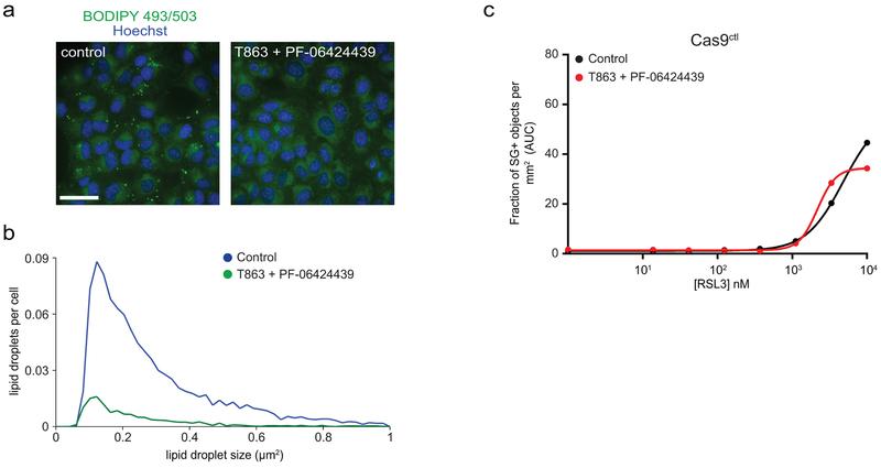 https://cdn.ncbi.nlm.nih.gov/pmc/blobs/9095/6883167/80b5925c6966/nihms-1540825-f0009.jpg