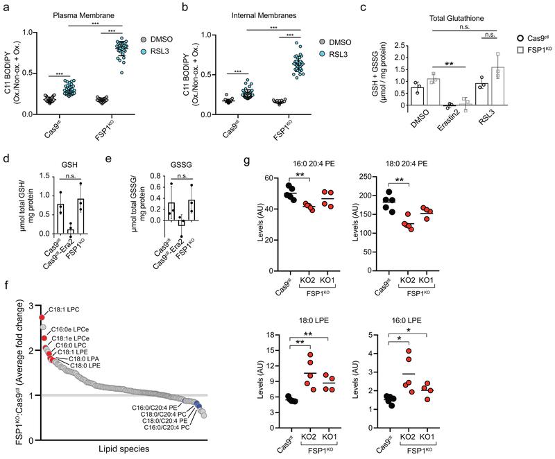 https://cdn.ncbi.nlm.nih.gov/pmc/blobs/9095/6883167/89e6a401f6bb/nihms-1540825-f0010.jpg