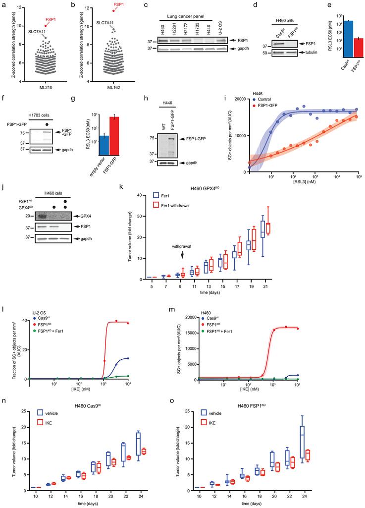 https://cdn.ncbi.nlm.nih.gov/pmc/blobs/9095/6883167/b6613c8da948/nihms-1540825-f0014.jpg