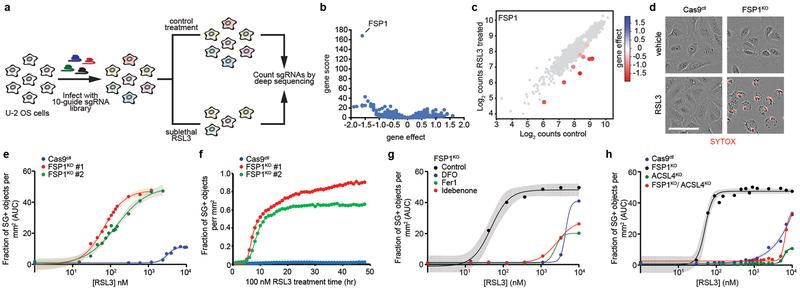 https://cdn.ncbi.nlm.nih.gov/pmc/blobs/9095/6883167/d737a46ab980/nihms-1540825-f0001.jpg
