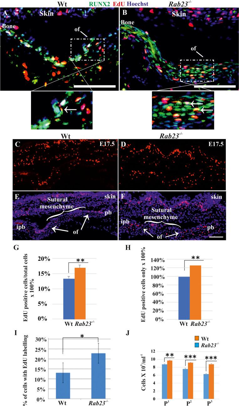 https://cdn.ncbi.nlm.nih.gov/pmc/blobs/9097/7423339/ecef2bee7540/elife-55829-fig4.jpg