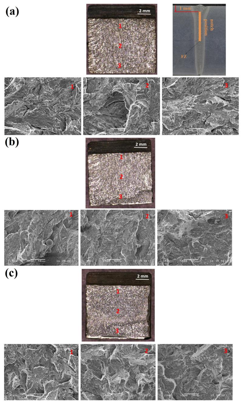 https://cdn.ncbi.nlm.nih.gov/pmc/blobs/9098/12194909/ddaef533ae8a/materials-18-02792-g007.jpg