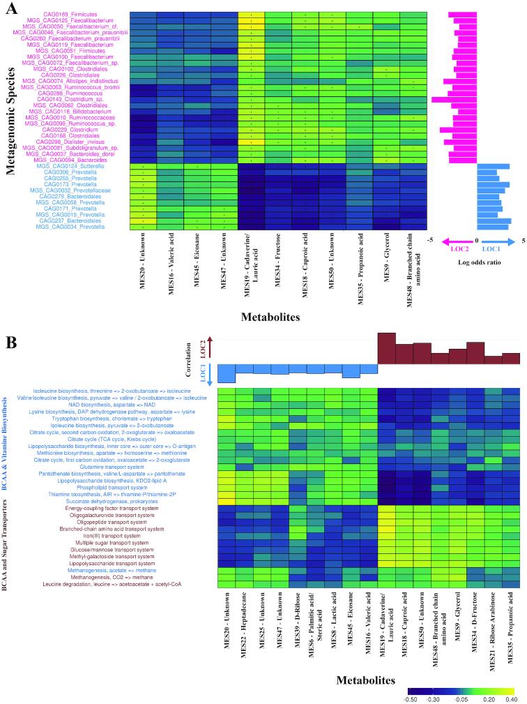 https://cdn.ncbi.nlm.nih.gov/pmc/blobs/9098/6394208/a3d777bee8eb/giz004fig5.jpg