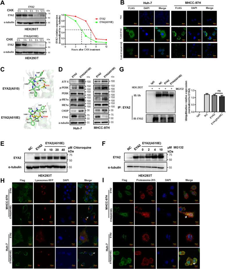 https://cdn.ncbi.nlm.nih.gov/pmc/blobs/9098/8157759/51c51bc5a1d5/12943_2021_1377_Fig5_HTML.jpg