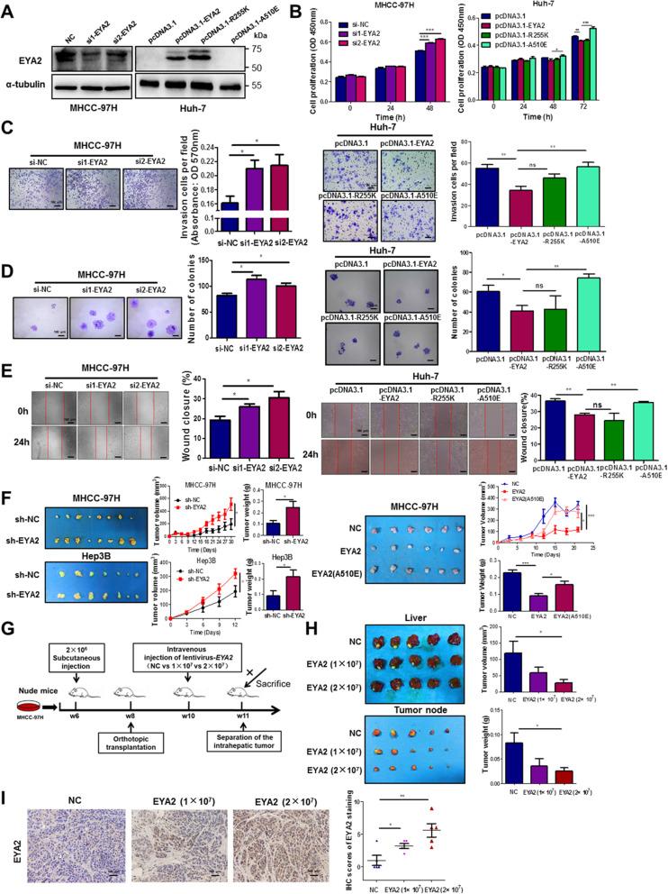 https://cdn.ncbi.nlm.nih.gov/pmc/blobs/9098/8157759/c36e486321ea/12943_2021_1377_Fig3_HTML.jpg